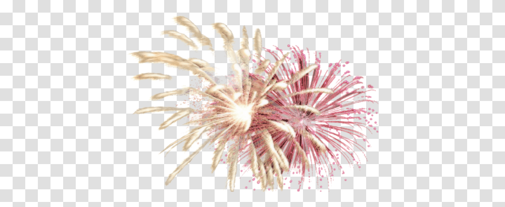 Fireworks, Holiday, Nature, Outdoors, Night Transparent Png