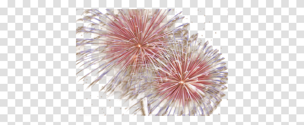 Fireworks, Holiday, Nature, Outdoors, Night Transparent Png