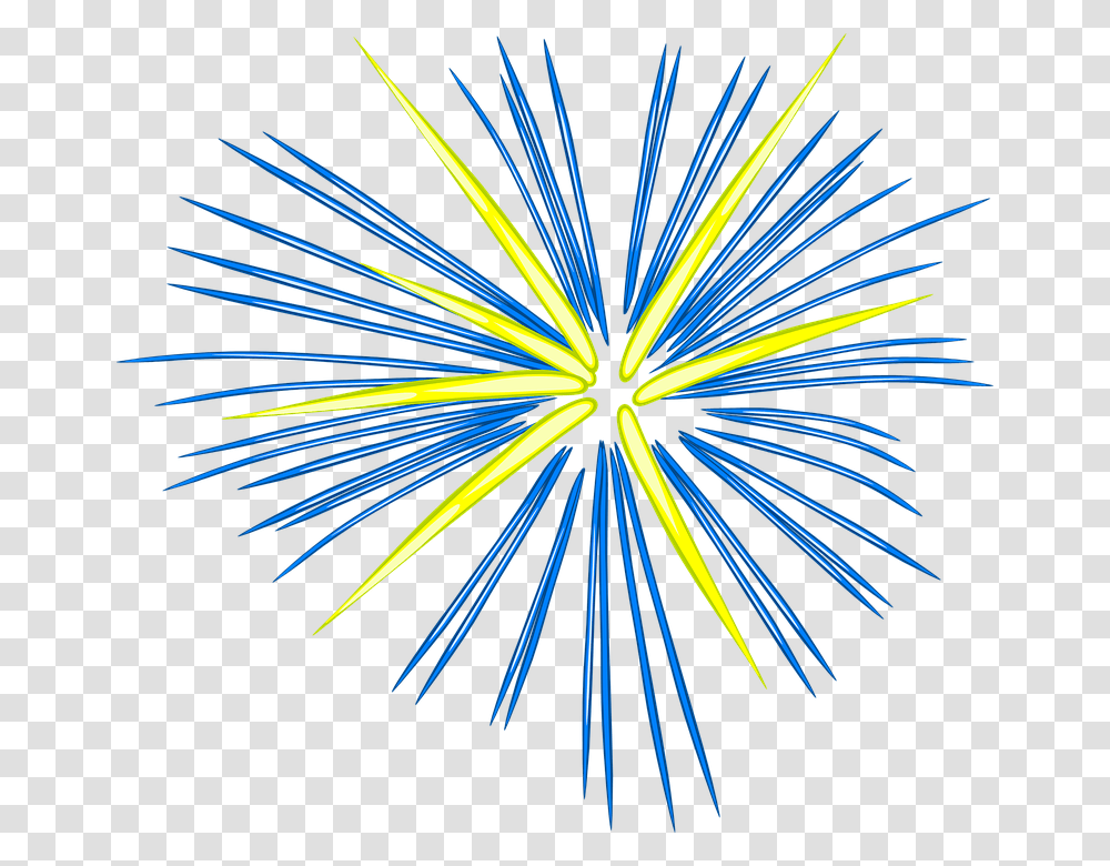 Fireworks, Holiday, Nature, Outdoors, Night Transparent Png