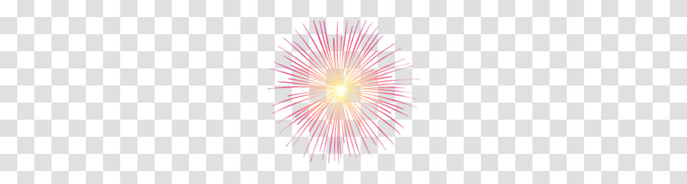 Fireworks, Holiday, Nature, Outdoors, Night Transparent Png