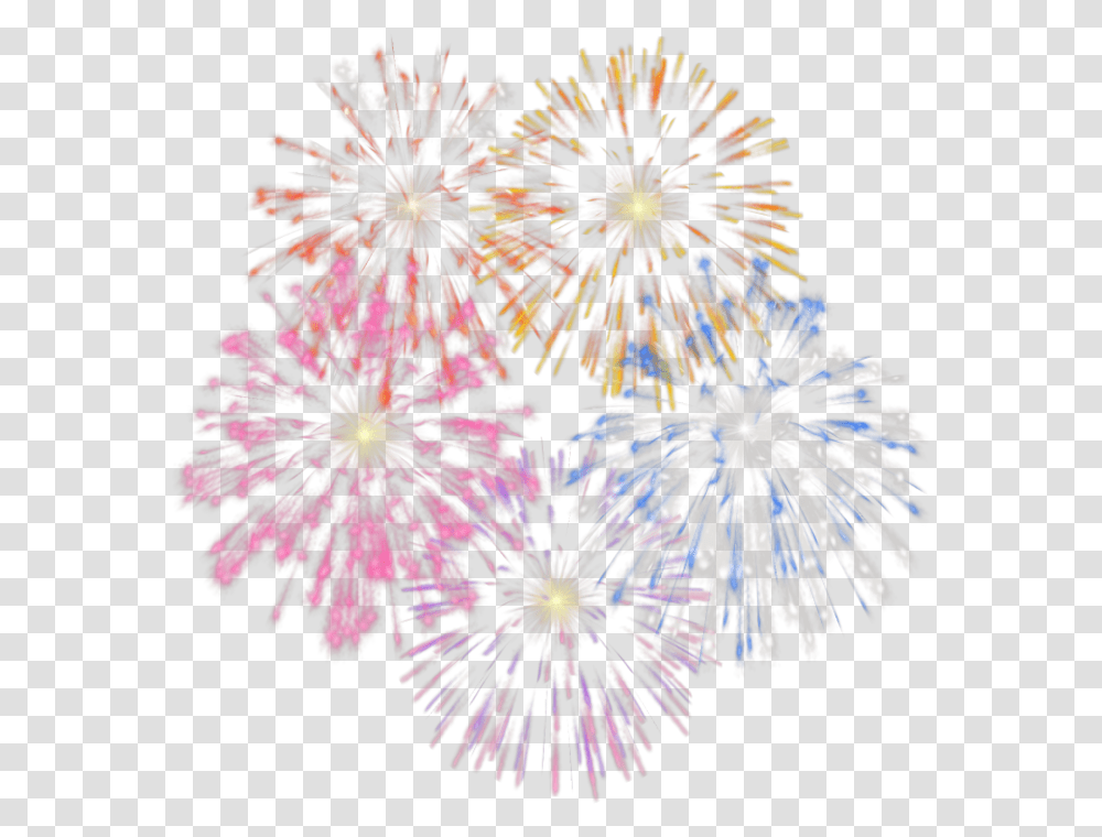 Fireworks, Holiday, Nature, Plant, Outdoors Transparent Png