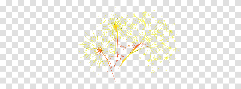 Fireworks, Holiday, Plant, Nature Transparent Png