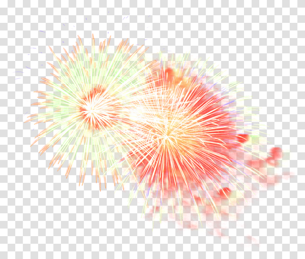 Fireworks Image Purepng Free Cc0 Fireworks, Nature, Outdoors, Night, Plant Transparent Png