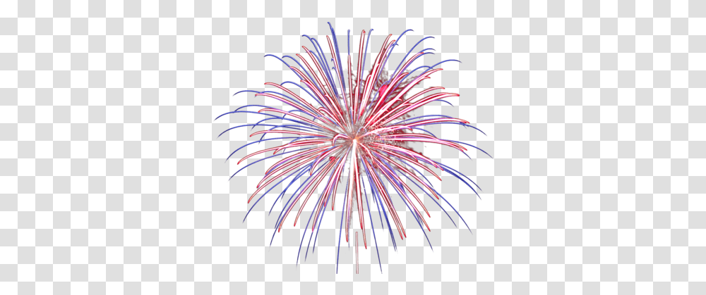 Fireworks Images Free Download 409947 Images Pngio Background Fireworks Gif, Plant, Nature, Outdoors, Night Transparent Png