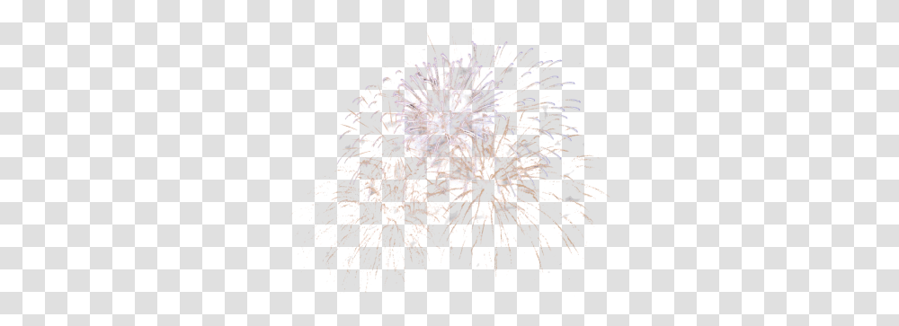 Fireworks Images Free Download Fireworks, Nature, Outdoors, Night, Plant Transparent Png