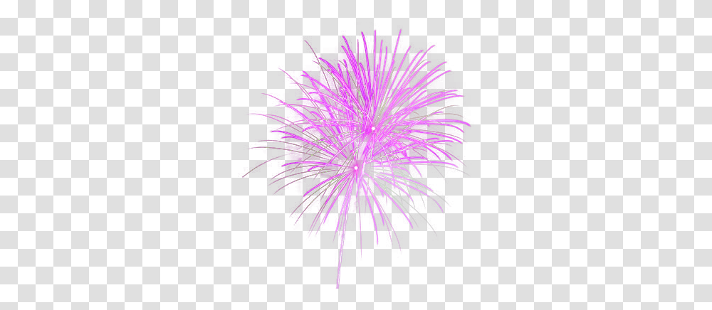 Fireworks Images Free Download Pink Fireworks Background, Purple, Light, Flare, Nature Transparent Png