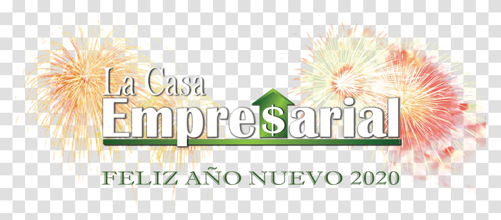 Fireworks, Nature, Outdoors, Advertisement Transparent Png