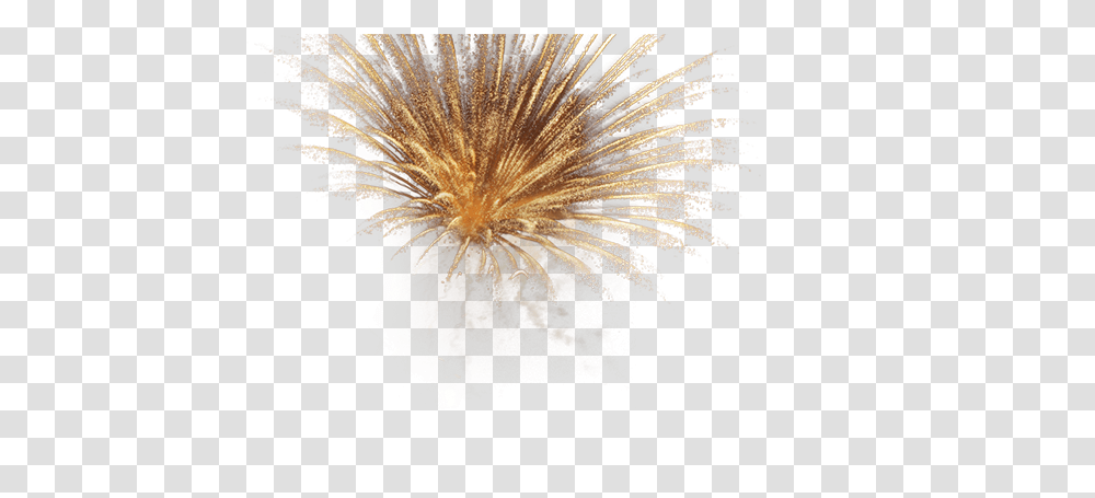 Fireworks, Nature, Outdoors, Night, Bird Transparent Png