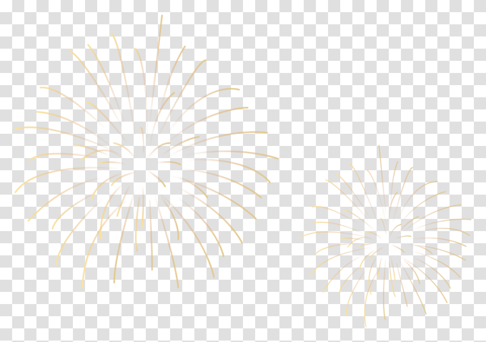 Fireworks, Nature, Outdoors, Night, Pineapple Transparent Png