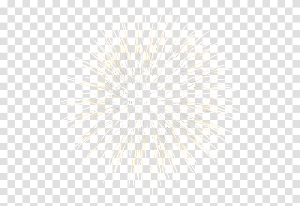 Fireworks, Nature, Outdoors, Night, Plant Transparent Png