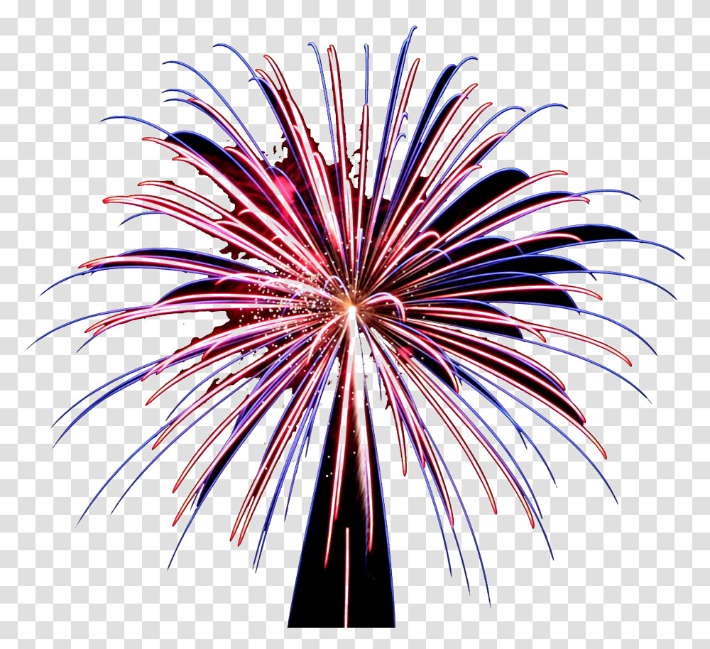 Fireworks Pic Fireworks, Nature, Outdoors, Night, Plant Transparent Png
