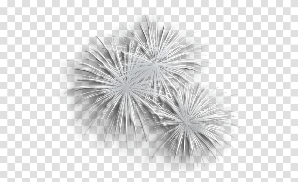Fireworks Picture Silver Fireworks Background, Nature, Outdoors, Night, Plant Transparent Png