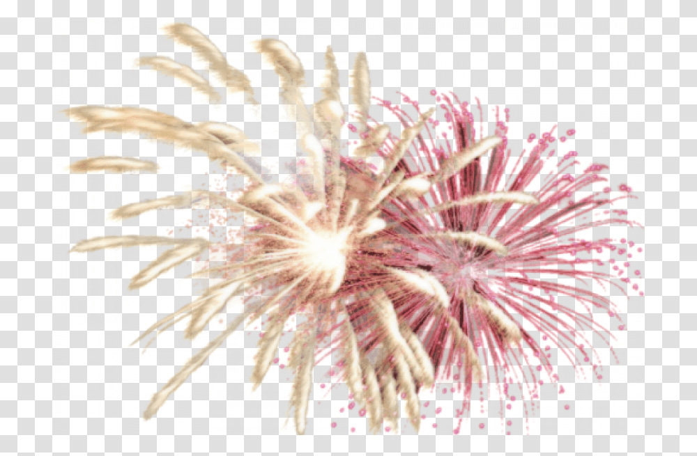 Fireworks Picture Web Icons Clipart, Nature, Outdoors, Night, Water Transparent Png