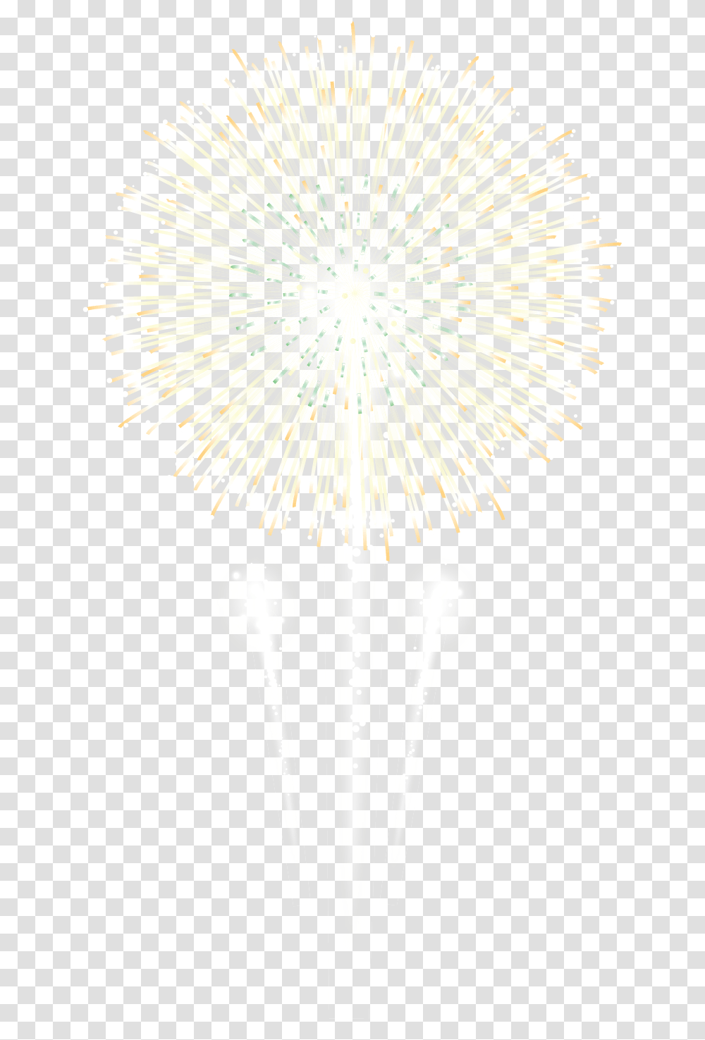 Fireworks, Plant, Flower, Blossom, Lighting Transparent Png