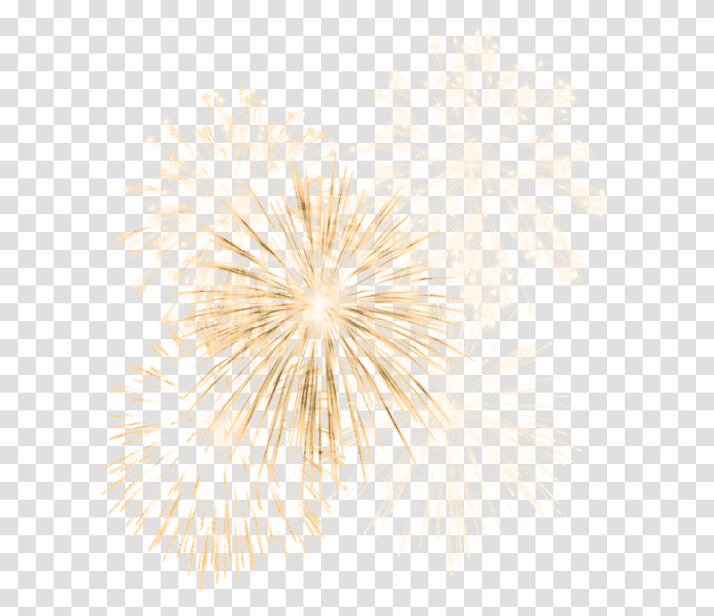 Fireworks, Plant, Flower, Blossom, Nature Transparent Png