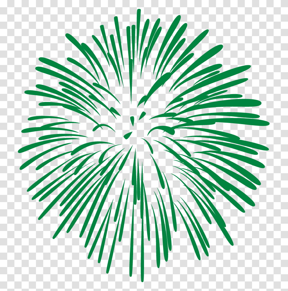 Fireworks With White Background, Nature, Outdoors, Night, Plant Transparent Png