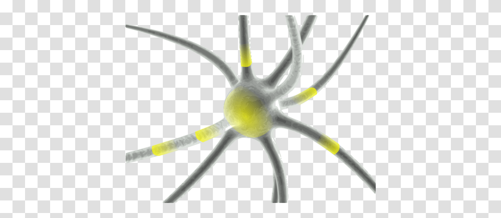 Firing Neuron Vector Clip Art, Bird, Animal, Sea Life, Invertebrate Transparent Png