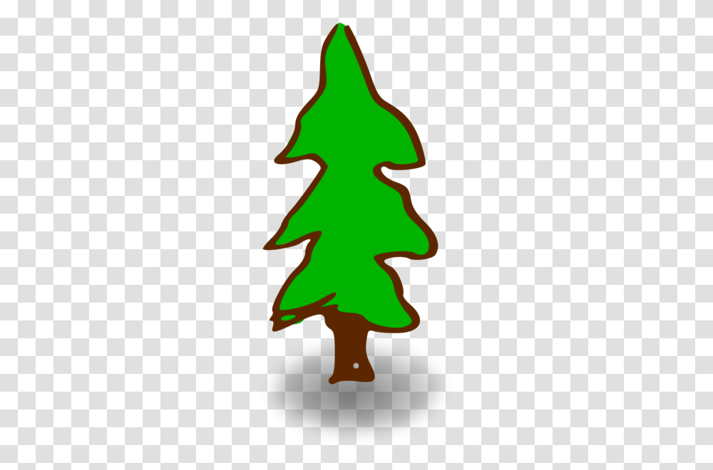 Firpine Familychristmas Decoration, Tree, Plant, Ornament, Star Symbol Transparent Png