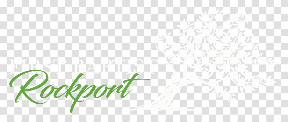 First Baptist Rockport Tree, Plant, Text, Word, Root Transparent Png