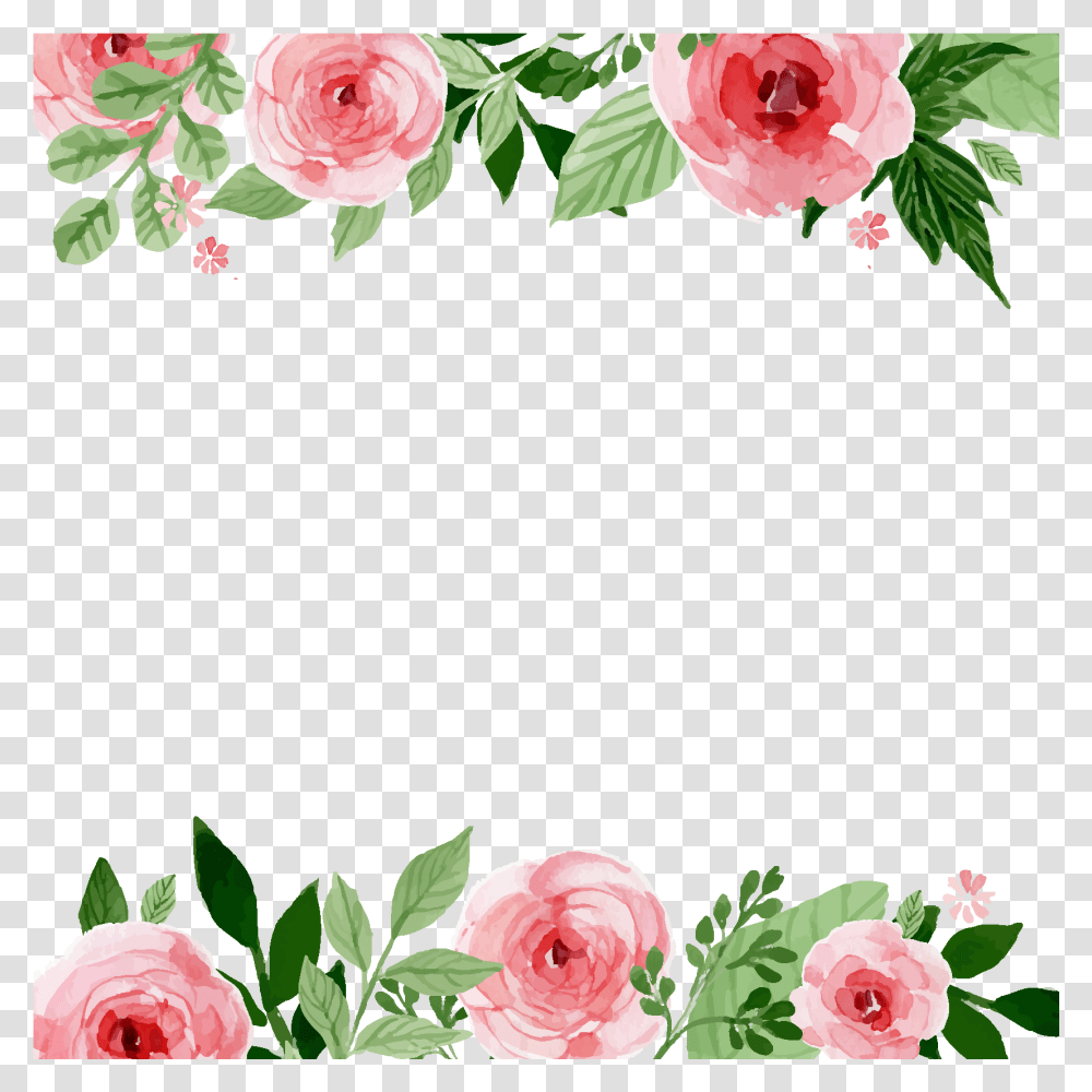 First Birthday Watercolor Flowers Border Free, Rose, Plant, Blossom, Peony Transparent Png