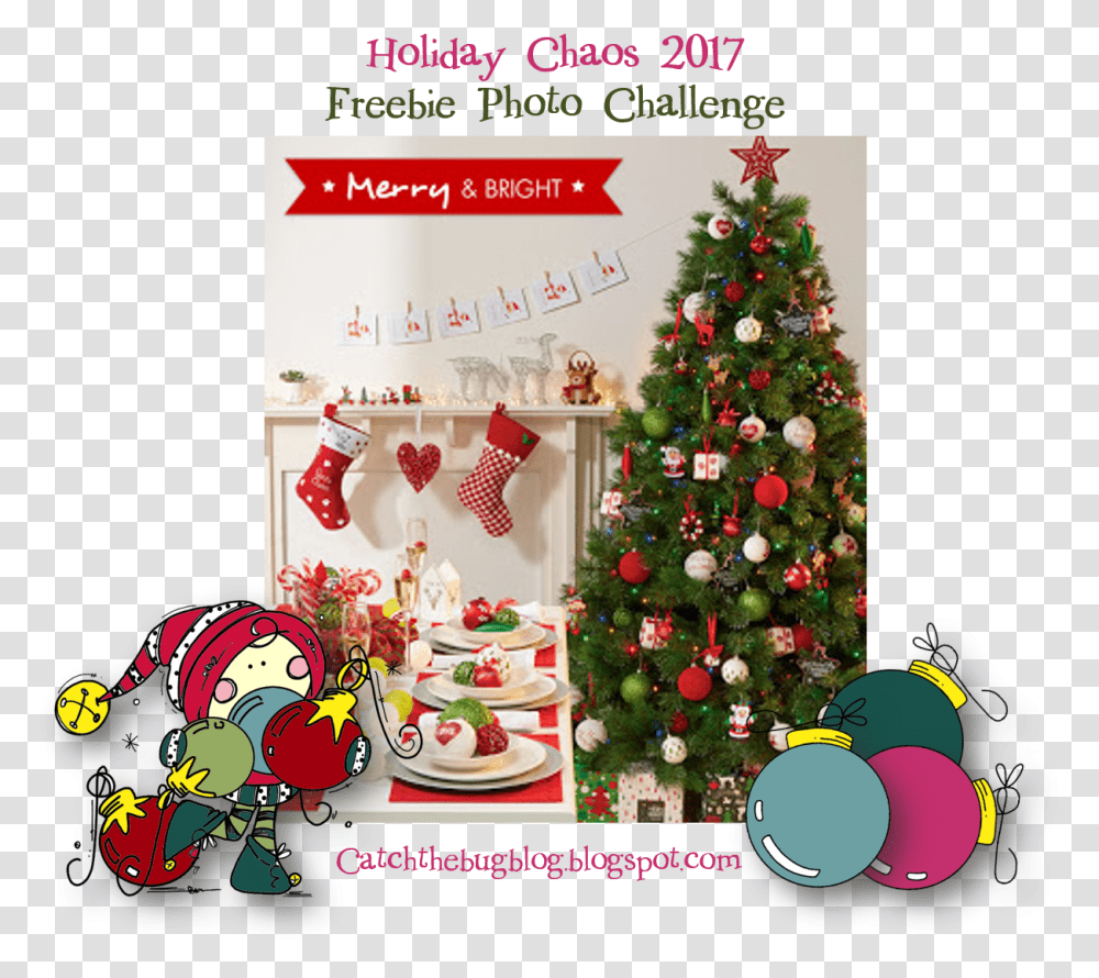 First Christmas, Tree, Plant, Christmas Tree, Ornament Transparent Png