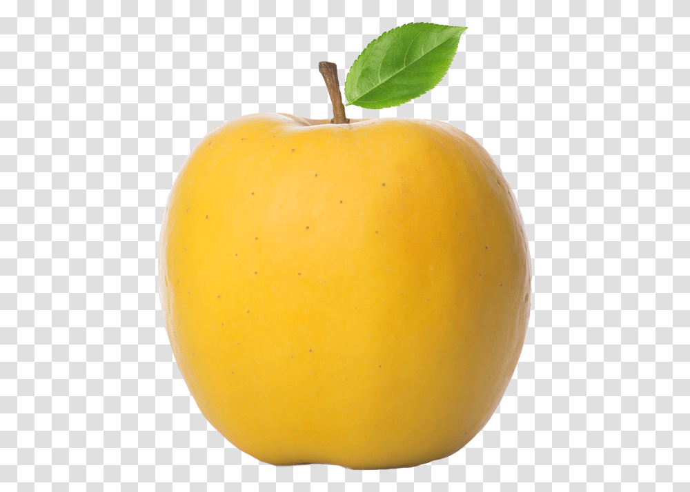 First Fruits Marketing Yellow Apple Images, Plant, Egg, Food, Mango Transparent Png