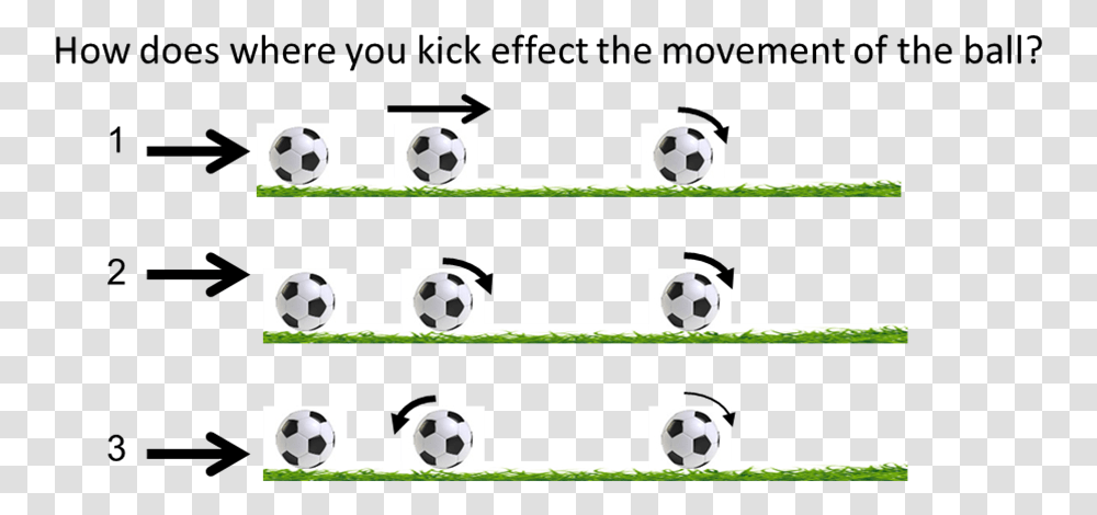 First Law In Soccer, Giant Panda, Sphere, People, Ball Transparent Png
