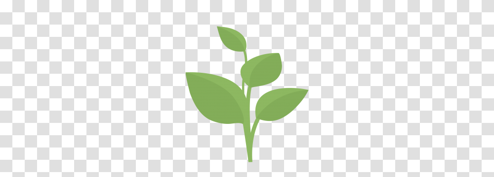 First Step Choose Your Sector, Plant, Leaf, Flower, Sprout Transparent Png