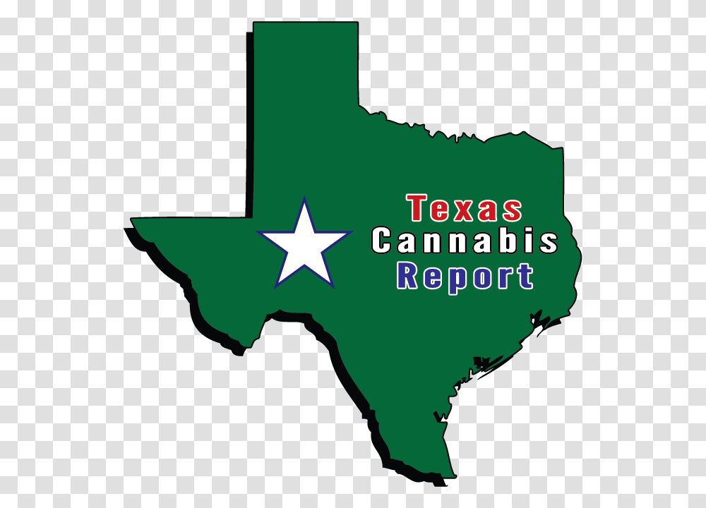 First Texas Cannabis Dispensary To Open In December Baylor Logo Sic Em Bears, Star Symbol, First Aid Transparent Png