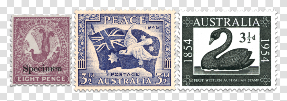First Western Australian Stamp 1954 Value, Postage Stamp, Bird, Animal, Rug Transparent Png