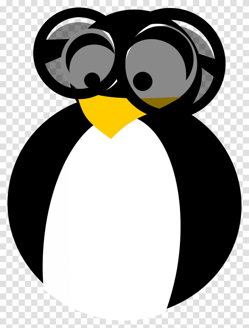 First Year Placement Enhancement, Bird, Animal, Penguin, King Penguin Transparent Png