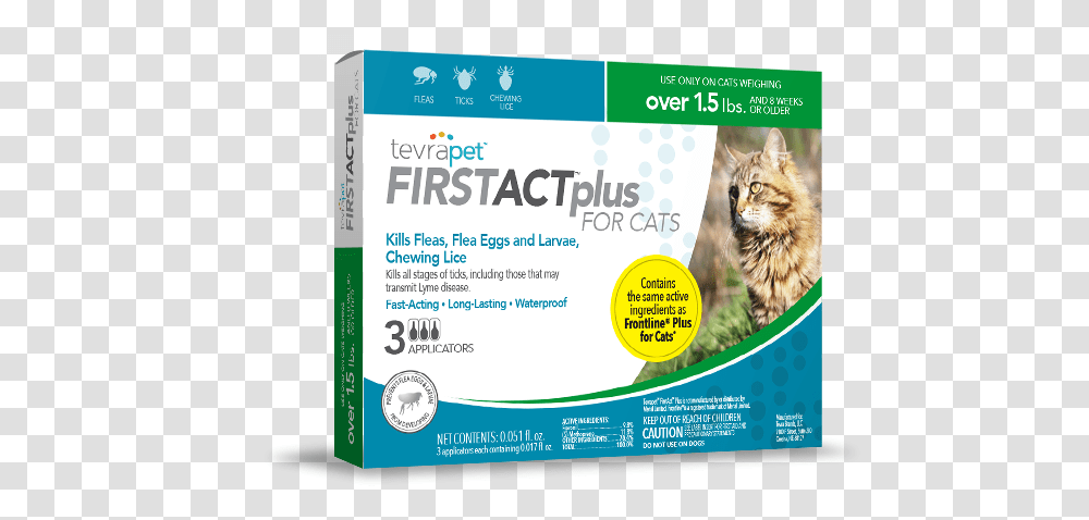 Firstact Plus Cat Package, Pet, Mammal, Animal, Advertisement Transparent Png