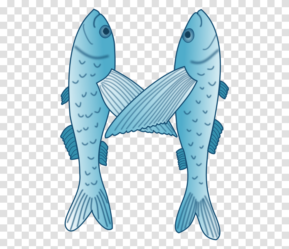 Fische, Animals, Whale, Mammal, Sea Life Transparent Png