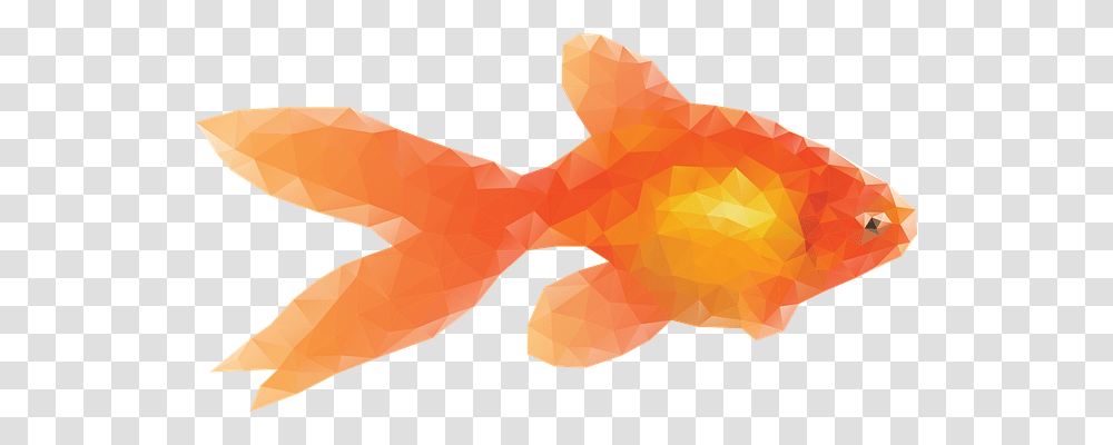 Fish Animals, Goldfish Transparent Png