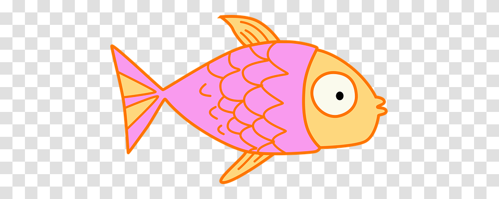 Fish Person, Animal, Sea Life, Tortoise Transparent Png