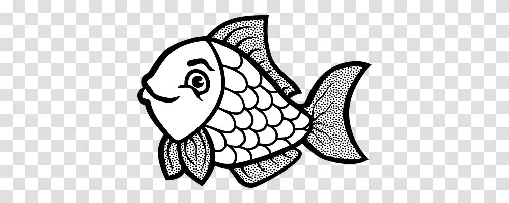 Fish Animals, Sea Life, Bird, Owl Transparent Png