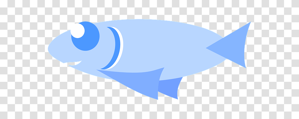 Fish Animals, Sea Life, Mammal, Whale Transparent Png