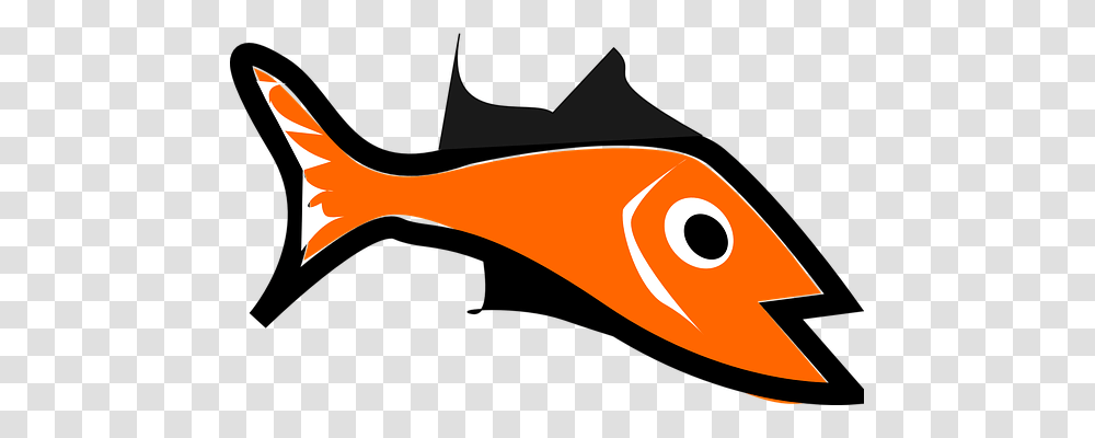 Fish Animals, Shark, Sea Life, Coho Transparent Png