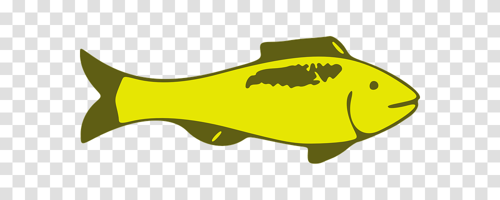 Fish Animals, Axe, Tool, Sea Life Transparent Png