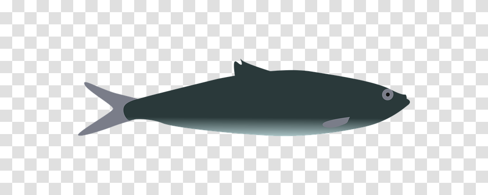 Fish Nature, Axe, Animal, Sea Life Transparent Png