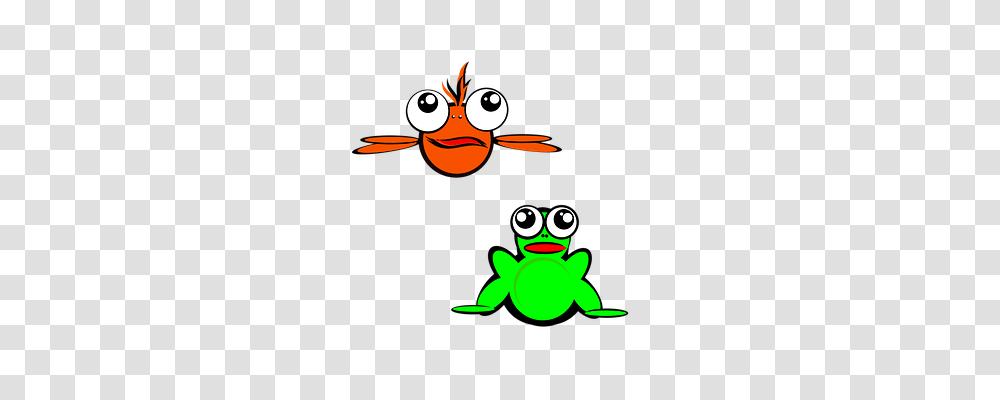 Fish Animals, Frog, Amphibian, Wildlife Transparent Png