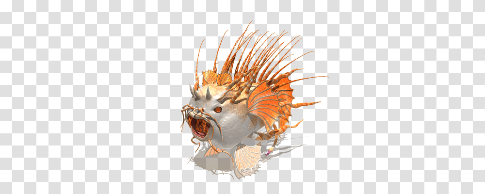 Fish Nature, Sea Life, Animal, Puffer Transparent Png