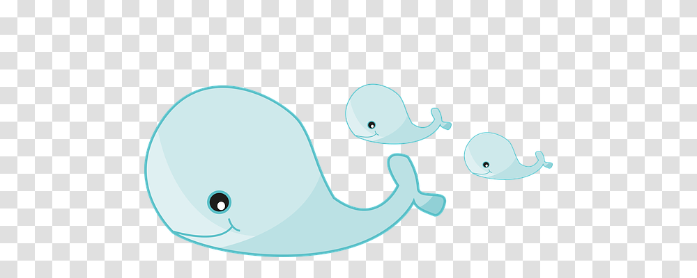 Fish Animals, Sea Life, Mammal, Invertebrate Transparent Png