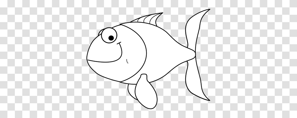 Fish Emotion, Animal, Sea Life, Mammal Transparent Png