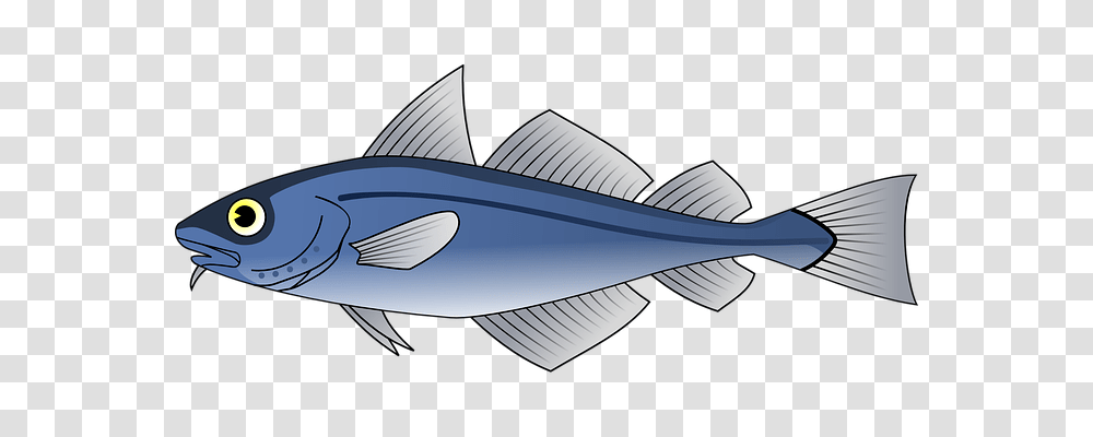 Fish Food, Tuna, Sea Life, Animal Transparent Png