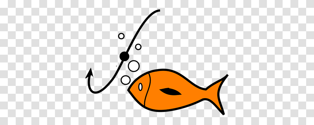 Fish Sport, Animal, Goldfish, Shark Transparent Png