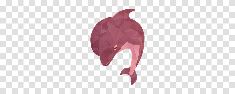 Fish Holiday, Apparel, Helmet Transparent Png