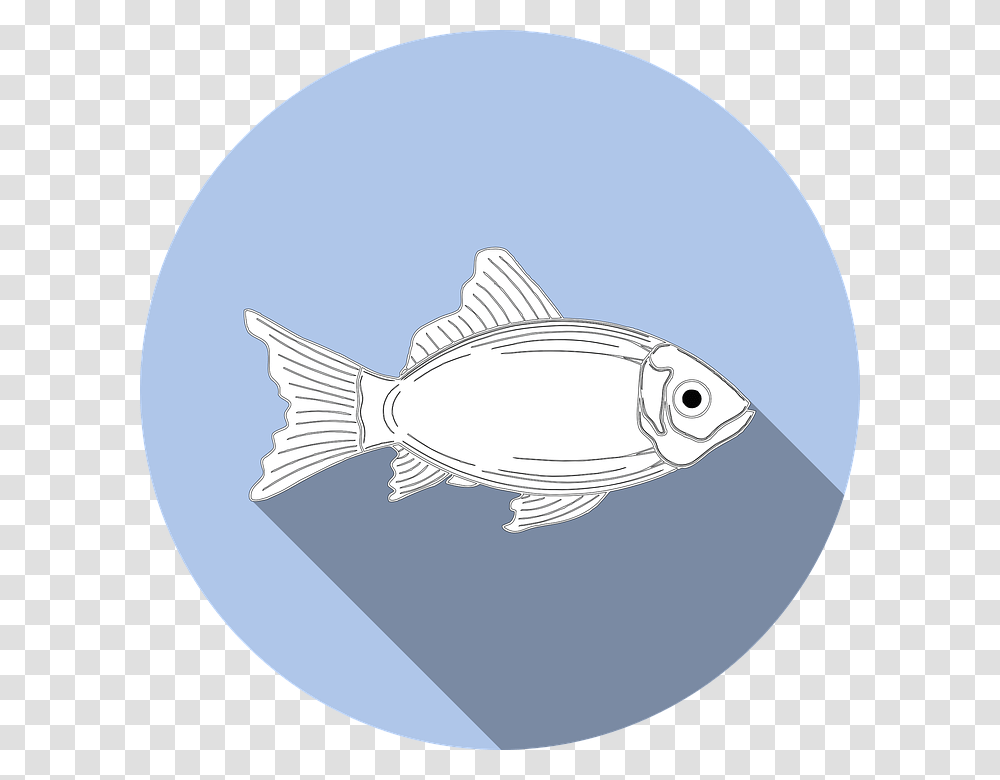 Fish Allergy Food No Fishing Symbol Icon Sign Tuna Puns, Sea Life, Animal, Bonito, Shark Transparent Png