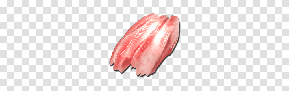 Fish And Meat Fish And Meat Images, Mineral, Crystal, Animal, Quartz Transparent Png