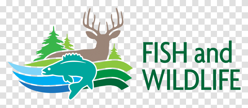 Fish And Wildlife Login Fish And Wildlife Act, Elk, Deer, Mammal, Animal Transparent Png